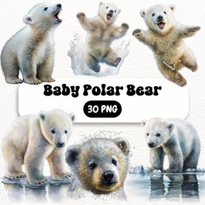 Cute Baby Polar bear Clipart Bundle - 9 High Quality JPGs - Digital Download - Commercial Use, Watercolor, Mixed Media, Digital Paper Craft