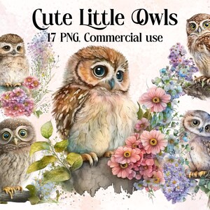 Cute Little Owl Clipart,Baby Owl png, magic clip art, mystical clipart, witchcraft png clipart, pagan clipart png, pagan png, mystical Owls