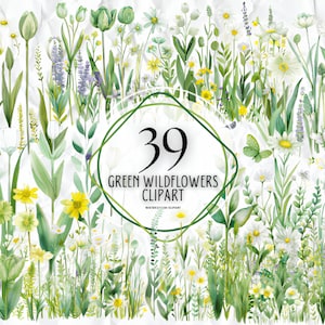 Watercolor Floral Clipart - Wild meadow - Wildflowers clipart - Floral border set - Wildflowers borders - Floral clipart for commercial use