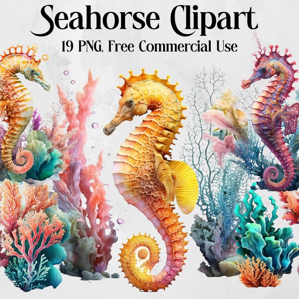 Seahorse Clipart, Nautical Clipart. Ocean Animal. Sea animals clip art, png. Sealife, coral, fish. Digital watercolor. Free commercial use.
