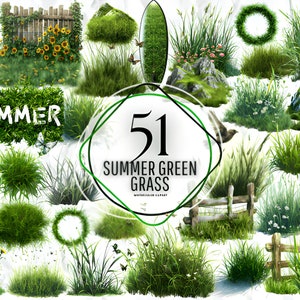 Aquarell Sommergrünes Gras-Clipart-Bundle, botanische Grasränder, Grasbüschel-Grafikillustrationen in PNG für kommerzielle Nutzung