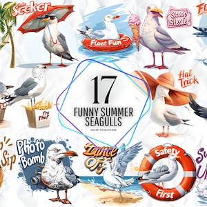 Grappige zomer meeuwen clipart-Goofy Seagull vogels, domme meeuwen aquarel, ongewenste Journal, zeevogels PNG, digitale print scrapbooking