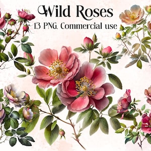 Watercolour Wild Roses clipart bundle, pink, red roses, floral clipart, wild flower clipart, instant download, Flowers Roses Floral PNG