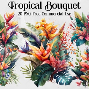 Tropical clipart. Floral clipart, Plumeria clipart. Tropical bouquets, PNG. summer rest, holiday. Digital watercolor. Free commercial use.