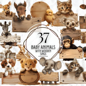 Süße Tiere Holzschild Clipart, Safari Baby Tier PNG, Aquarell Tier Clipart, Baby Dusche Clipart, Löwe Tiger Affe Giraffe, Safari