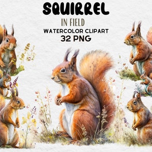 Squirrel In Field Watercolor Clipart, Birthday Party Decor Graphics, Cute Baby Shower Graphics, Nursery Decor Wall Art, Woodland Animal
