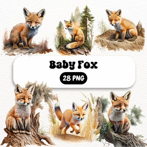 Watercolor Baby Fox PNG & JPEG | Fox PNG | Baby Fox | Watercolor Fox Baby Clipart | Watercolor Fox Commercial Use | Baby Fox Clipart