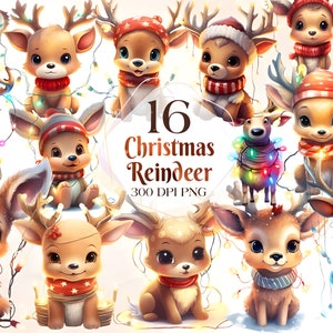 Christmas Reindeer Clipart Bundle - 1 PNG & 10 High Quality JPG - Digital Downloads - Commercial Use, Watercolor, Xmas Gift, Digital Craft