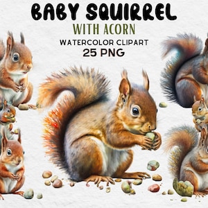 Cute Baby Squirrel With Acorn Clipart, High Quality PNGs, Digital Planner, Junk Journals, Watercolor - Commercial Use Digital Download
