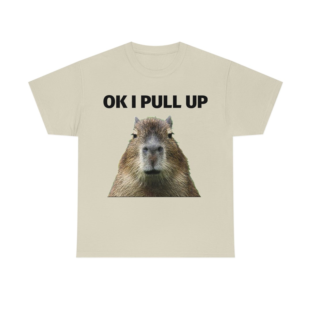 Capybara Ok I Pull up Meme Tshirt Etsy