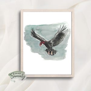 Impression aquarelle d'urubu à tête rouge | Art mural et carte de voeux à téléchargement numérique | Oeuvres d'art d'oiseaux sauvages pour les amoureux de la nature et décoration rustique