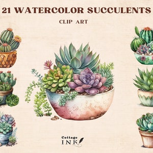 Paquete de imágenes prediseñadas de suculentas de acuarela, paquete de imágenes prediseñadas de cactus y suculentas de Boho, imágenes prediseñadas suculentas de invitación de boda, Greenery Pot Digital PNG