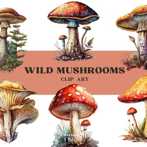Watercolor Wild Mushrooms Clipart, Cute Cottagecore Forest ToadStool Clip Art, Vintage Oyster Mushroom PNG Instant Download Commercial Use