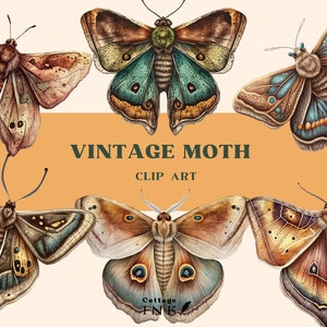 Aquarell Mystische Motte Clipart, Cottagecore Moth Clip Art, Vintage Motte PNG, Wicca PNG, mystische Clipart, Pagan Witchcraft PNG Clipart