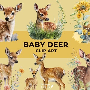 Baby Hirsch Clipart Bundle, süße Baby Hirsche, Baby Rehkitz PNG, Wald Wald Tier, Frühling Blumen Cliparts, Hirsch im Wald sofortigen Download