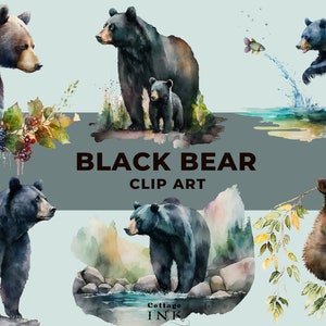 Watercolor Black Bear Clipart, Forest Animal PNG, Printable Cute Baby Bear Mama Bear Bundle, Black Bears Instant Download for Commercial Use