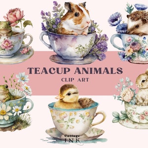 Acquerello tazza da tè animali Clipart Bundle, Cottagecore Vintage animali In tazza da tè PNG, carino anatra criceto procione topi rane coniglio digitale PNG