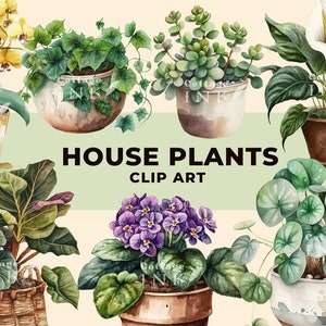 Aquarell Topfpflanzen Clipart Bundle, Boho Zimmerpflanzen PNG, Monstera Pflanze Mama Clipart, grüner Topf sofortiger Download für kommerzielle Nutzung