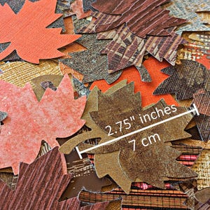 Grandes feuilles d'automne | Mélange de feuilles d'érable | Couleurs assorties