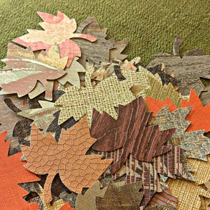 Grandes feuilles d'automne | Mélange de feuilles d'érable | Couleurs assorties