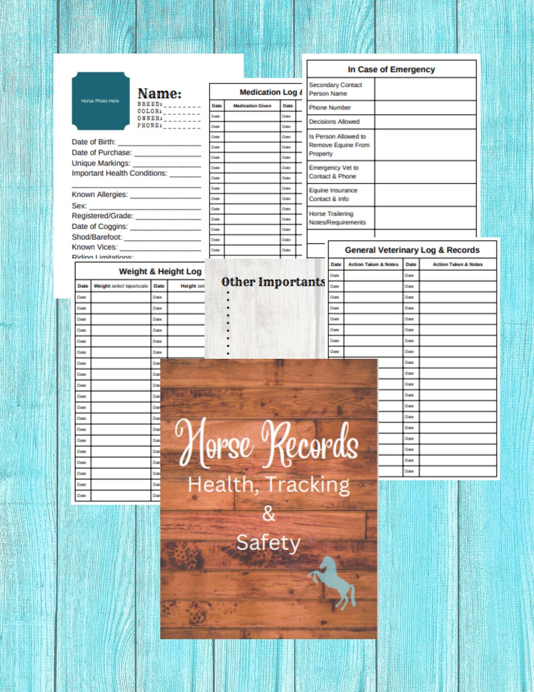 Horse Health & Records Book Etsy
