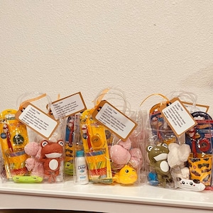 May include: Three clear plastic bags filled with bath time items for kids. Each bag includes a toothbrush, a small toy, a washcloth, a small bottle of body wash, and a tag that says "Tub Time" with a list of items included.