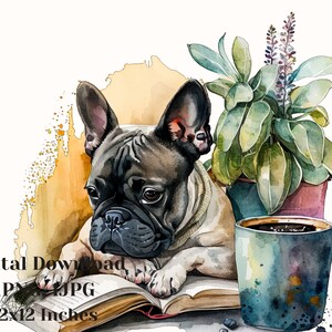 Bulldog Reading, psy, pies Png, koszulka dla psa, sztuka psa, clipart psa, nadruk psa, akwarela psa, Clip Art z papeterii, Buldog francuski