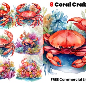 Coral Crab aquarel clipart, krabben, visserij clipart, krab PNG, oceaan krab vissen, aquarel illustratie, visserij krab print, PNG