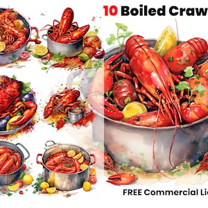 Clipart aquarelle d’écrevisses bouillies, homard, ébullition d’écrevisses, cuisine, épices, Cajun, écrevisses, assaisonnement png, clipart de la Nouvelle-Orléans, png créole
