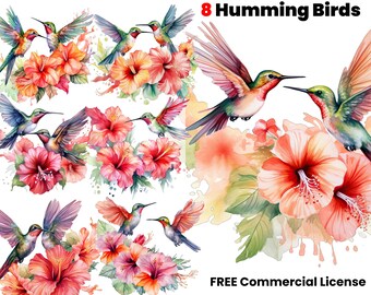 Humming Bird Watercolor Clipart,  Commercial Use,  Graphic Design Illustration Print,  Bird png, digital download, instant download, sticker