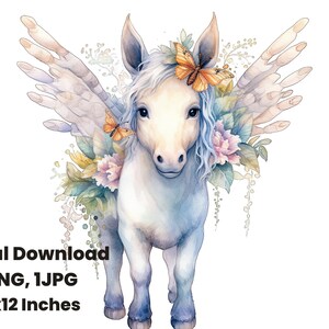 Winged Pony portrait, Pony digital painting, Baby horse illustration, Cute animal graphic, Hand painted horse art, Watercolor Horse clipart