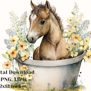 Pony clipart, Baby horse illustration, Pony png, pony clipart, Hand painted horse art, Watercolor Horse clipart, commercial use, pony