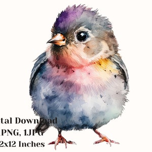 Bird art prints, Watercolor bird paintings, Watercolor birds, watercolor animals, clipart animals, digital clipart, printable clipart, png