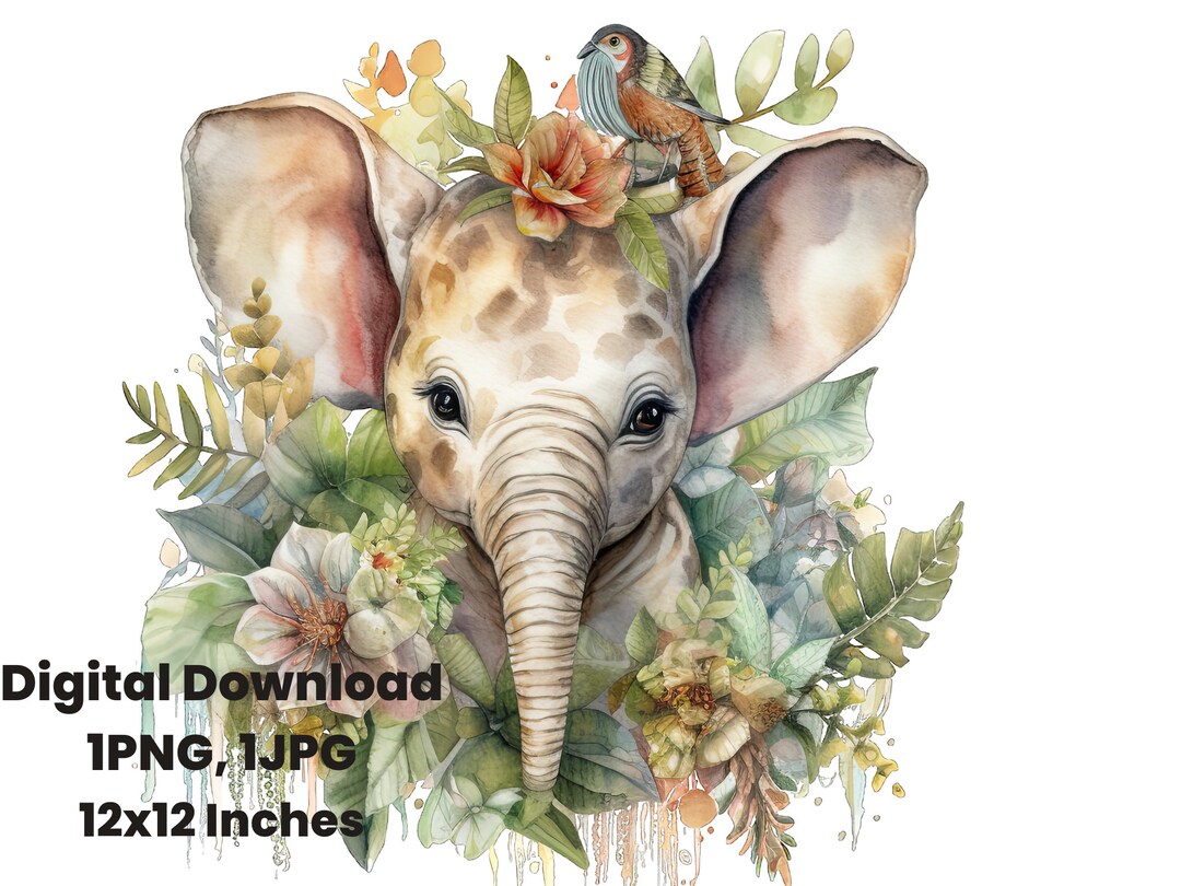 Baby Elephant Watercolor Clipart, Png, Printable Elephant Nursery ...