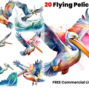 Pelican Acquerello Clipart Louisiana Pelican Swamp PNG Uso commerciale LA Pelican Graphic Design Illustrazione Stampa, Clipart, PNG, Uccello png