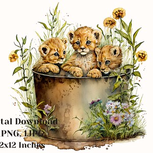 Baby lions in bucket, Nursery jungle animal clipart,baby shower decor, Baby lion, lion watercolor clipart, png, lion Clipart, lion png