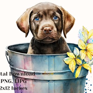 Black Labrador, dogs, dog Png, dog shirt, dog art, dog clipart, dog print, dog watercolor art,Stationery Clip Art, Labrador clipart, png
