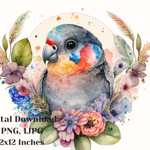 Parrot png, watercolor animals, clipart animals, digital clipart, printable clipart, png, Bird art prints, Watercolor bird paintings