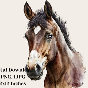 Baby horse illustration, Wild animal portrait, Pony digital painting, Cute animal graphic, Hand painted horse art, Watercolor Horse clipart