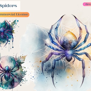 Spider, Spider Clipart, Instant Download, PNG, Commercial Use, Watercolor Art, Fairy, Fairies, Animation, png, spider web, art, spider art