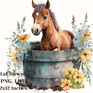 Pony digital art, Baby horse illustration, Pony png, pony clipart, Hand painted horse art, Watercolor Horse clipart, commercial use, pony