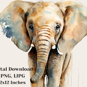 Baby Elephant Clipart, Watercolor elephant illustration, Adorable elephant art, Cute safari animals, Watercolour elephant portrait, png