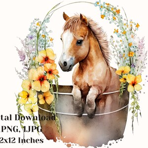 Pony Druck, Baby Pferd Illustration, Pony png, Pony Clipart, handgemaltes Pferd Kunst, Aquarell Pferd Clipart, kommerzielle Nutzung, Pony png