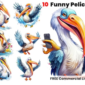 pelican cartoon clipart