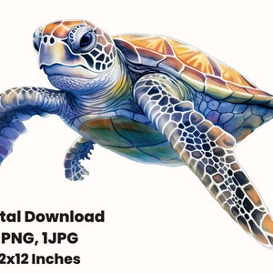 Cute Sea Turtle clipart, Ocean Animals Sea Turtle PNG, Sea Turtle Ocean clipart, Underwater clipart, Turtle Printable Sea Turtle, Sea Turtle
