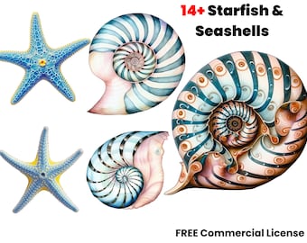 Seashell and Seastar Clipart, beach decor, png, beach wall art, Digital, Free commercial use, digital download, sublimation, graphic design