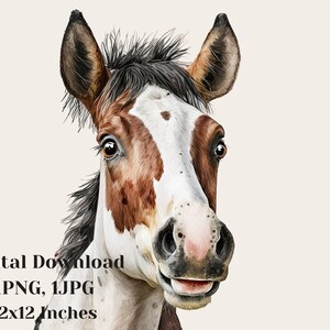 Paard aquarel clipart, paard clipart, baby paard illustratie, schattige dieren afbeelding, handgeschilderde paard kunst, aquarel paard clipart,