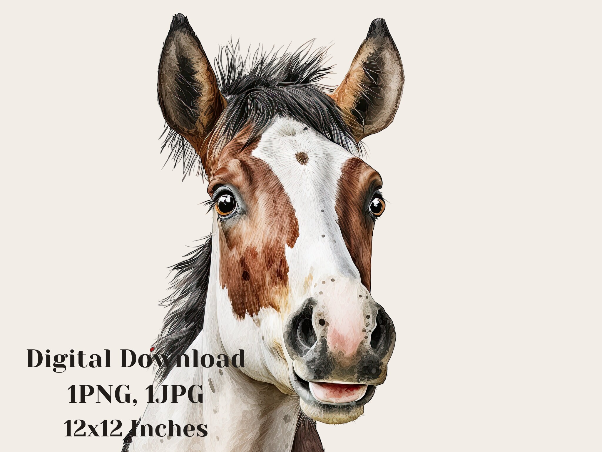 Horse watercolor clipart, Horse clipart,  Baby horse illustration, Cute animal graphic, Hand painted horse art, Watercolor Horse clipart,