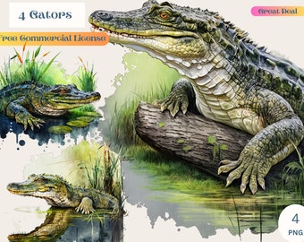Alligator, Gator, Alligator png, Crocodile, Swamp png, Commercial Use, Graphic Design, Illustration Print, Mascot PNG, Mascot art