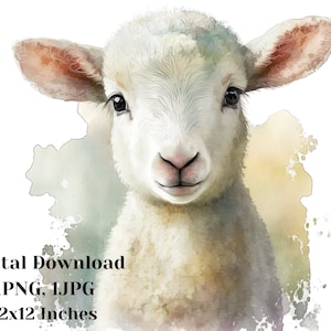 Lamb watercolor clipart, Baby lamb illustration, Cute animal graphic, Hand painted farm animal art, Nursery animal clipart, png, Lamb art,